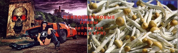 кристаллы Алексин
